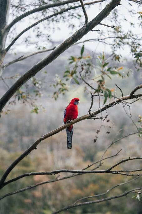 Riverside Cabin 18 Thredbo - Hotel WA 1