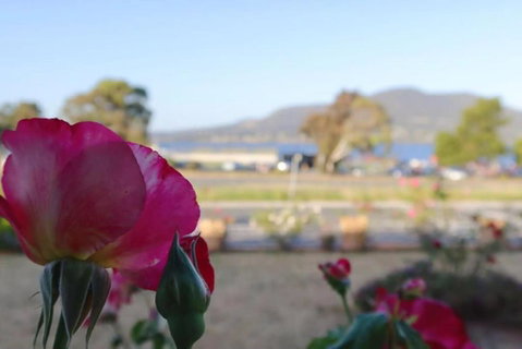 Rose Retreat With Water Front View At Montrose - Hotel WA 3