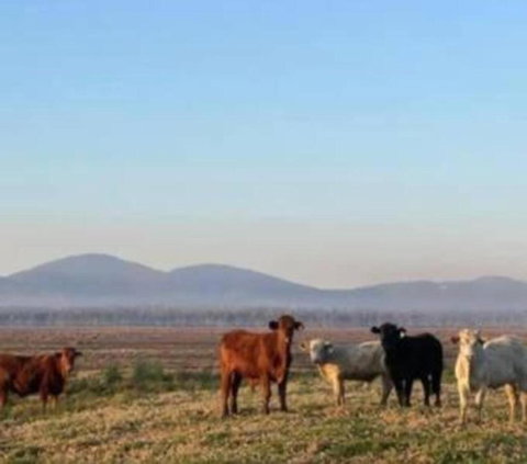 Rosemont By Tiny Away - Hotel WA 3