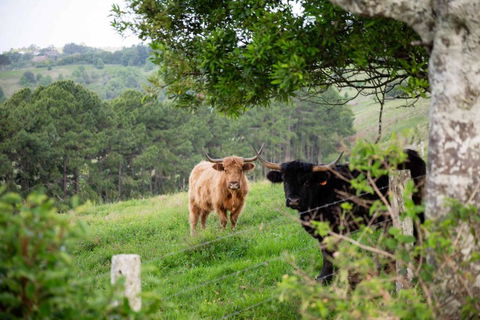 Rosewood Tiny Home By Tiny Away - Hotel WA 2