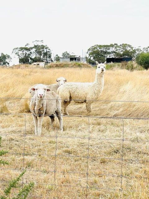 Ross Creek Farm Stay - Hotel WA 0