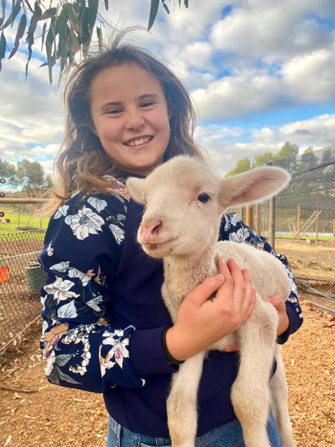 Sandalwood Downs Fabulous Farm Stay TOODYAY - Hotel WA 2