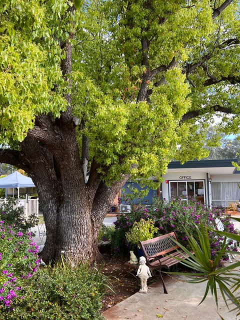 Sturt Motel Balranald - Hotel WA 1