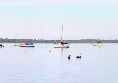 Beautiful, Peaceful Estuary Views, Five Star Quantity - Hotel WA 3