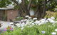 Bed And Breakfast In Perth - thumb 1