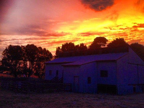 Beggs Farmstay B&B - Hotel WA 1