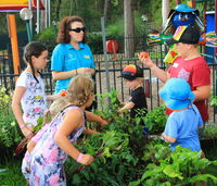 Book Lemon Tree Passage Accommodation Vacations Hotel WA Hotel WA