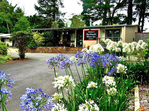 Blackheath Motor Inn - Hotel WA 0