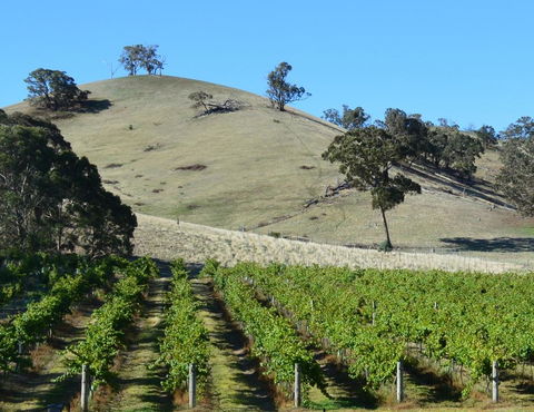 Blue House At Mountainside Wines - Hotel WA 3