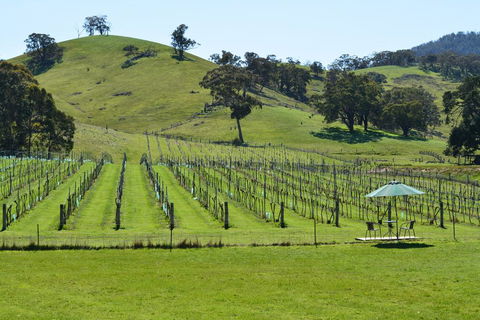 Blue House At Mountainside Wines - Hotel WA 0