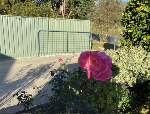 Blue Manor On Fairway - Hotel WA 2