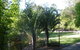 BoBRENE On Tamborine Nude Retreat - Quaint Cottage - thumb 2
