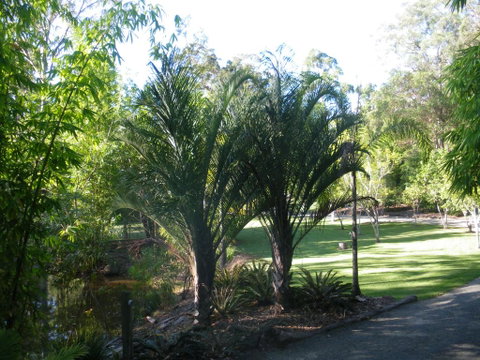 BoBRENE On Tamborine Nude Retreat - Quaint Cottage - Hotel WA 2