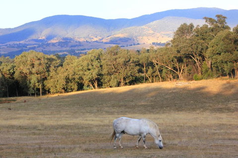 Yackandandah Farm Homestead - Hotel WA 0