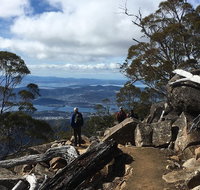 kunanyi / Mt Wellington Explorer Bus - 2 Hour Return Tour - Hotel WA