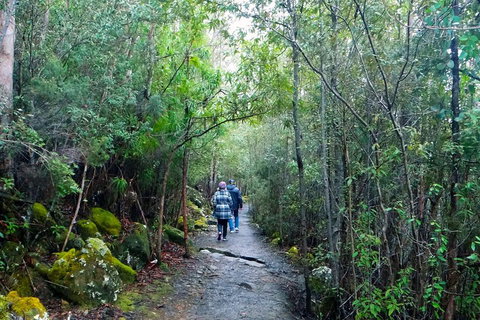 Kunanyi/Mt Wellington Tour & Hobart Hop-On Hop-Off Bus - Hotel WA 1