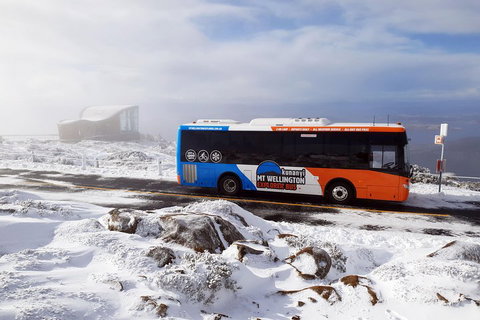 Kunanyi/Mt Wellington Tour & Hobart Hop-On Hop-Off Bus - Hotel WA 2