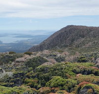 kunanyi/Mt Wellington Explorer Bus - One Way Tour - Hotel WA