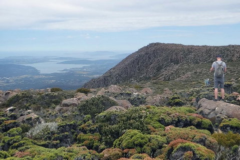 Kunanyi/Mt Wellington Explorer Bus - One Way Tour - Hotel WA 0