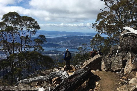 Kunanyi/Mt Wellington Explorer Bus - One Way Tour - Hotel WA 2
