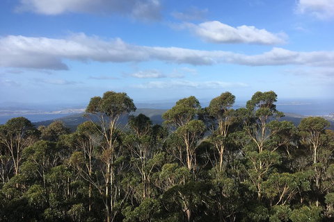 Kunanyi/Mt Wellington Explorer Bus - One Way Tour - Hotel WA 5