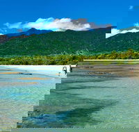 5-Day Best of Cairns with Daintree Kuranda and Great Barrier Reef - Hotel WA