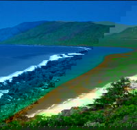 Cairns Reef and Rainforest Combo Daintree Rainforest and the Great Barrier Reef - Hotel WA