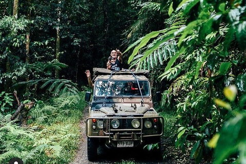 Full Day Tour In The Daintree - Hotel WA 4