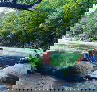 Afternoon Half-Day Daintree Rainforest and River Tour - Hotel WA