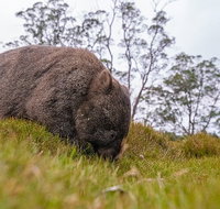 3-Day Cradle Mountain Photography Workshop - Hotel WA