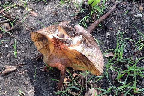 Litchfield National Park And Jumping Crocodile Cruise - Hotel WA 1