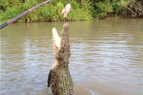 Litchfield National Park And Jumping Crocodile Cruise - Hotel WA 2