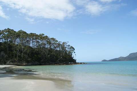 Bruny Island Day Trip From Hobart - Hotel WA 1