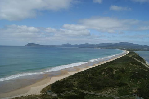 7-Day Best Of Tasmania Adventure Experience From Hobart (flexible Ticket) - Hotel WA 2