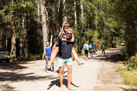 7-Day Best Of Tasmania Adventure Experience From Hobart (flexible Ticket) - Hotel WA 5