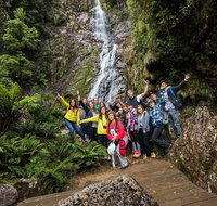 5-Day Lap of Tasmania Tour from Hobart flexible ticket - Hotel WA