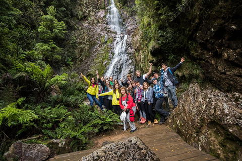 5-Day Lap Of Tasmania Tour From Hobart (flexible Ticket) - Hotel WA 0
