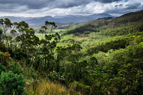 5-Day Lap Of Tasmania Tour From Hobart (flexible Ticket) - Hotel WA 2