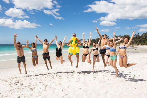 5-Day Lap Of Tasmania Tour From Hobart (flexible Ticket) - Hotel WA 4