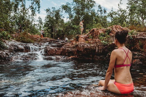 Litchfield National Park Day Tour From Darwin With Waterfalls And Buley Rockhole - Hotel WA 0