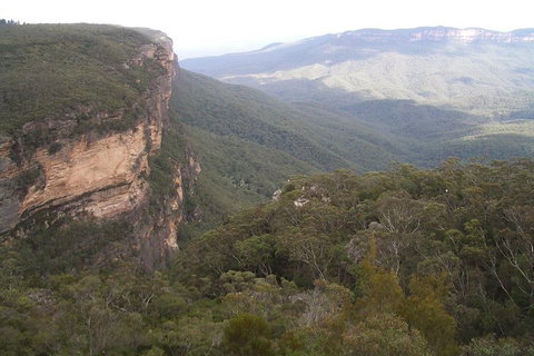 Full-Day Private Blue Mountains Tour With River Cruise - Hotel WA 3