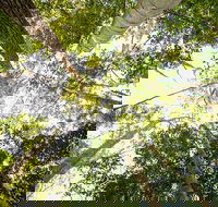 Fraser Island 4WD Tour from Noosa - Hotel WA