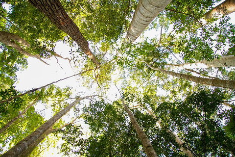 Fraser Island 4WD Tour From Noosa - Hotel WA 0