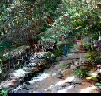 Fraser Island 4WD Tour from Rainbow Beach - Hotel WA