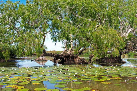 Ethical Adventures - Best In The WET - Litchfield / Kakadu 3 Day- Max 10 Guests - Hotel WA 1