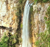Private Tour - Rainforest  Waterfalls Extravaganza - Hotel WA