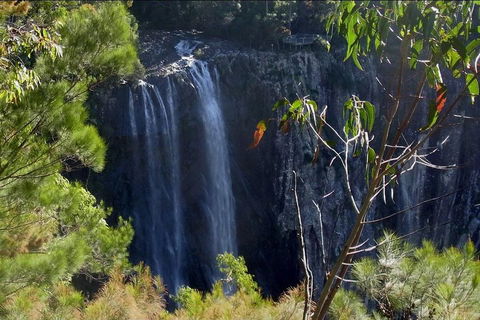 Byron Bay Hinterland Tour Including Rainforest Walk To Minyon Falls - Hotel WA 0