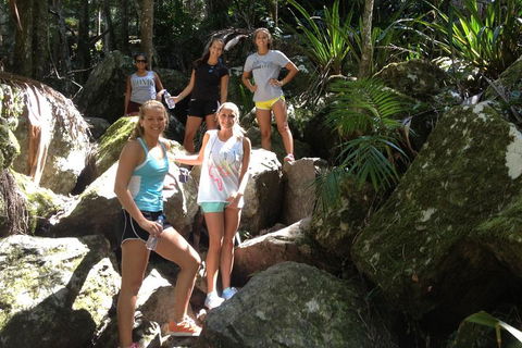 Byron Bay Hinterland Tour Including Rainforest Walk To Minyon Falls - Hotel WA 3