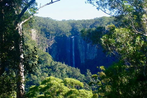 Byron Bay Hinterland Tour Including Rainforest Walk To Minyon Falls - Hotel WA 4