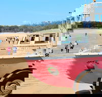 1770 Coastline Tour by LARC Amphibious Vehicle Including Picnic Lunch - Hotel WA